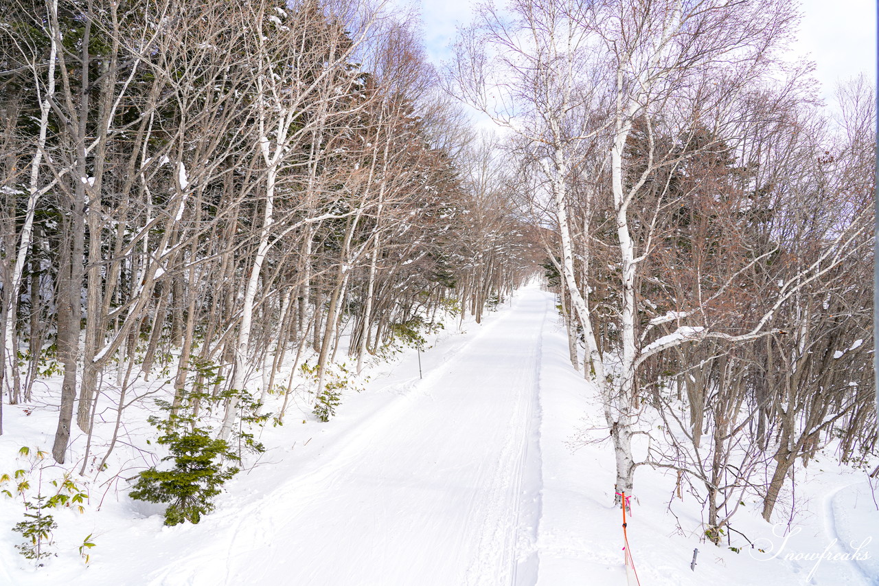 札幌藻岩山スキー場 ゲレンデの積雪は今季最深の125cm！コンディション良好で素晴らしいスキー日和に♪